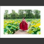 她从花中来