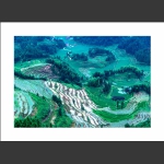 田园