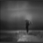 雨中