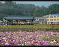 陈家坪农业生态园