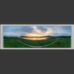 江垭千亩荷花园