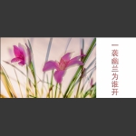 一袭幽兰为谁开