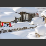 雪韵