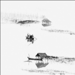 满湖柔波