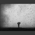 雨中