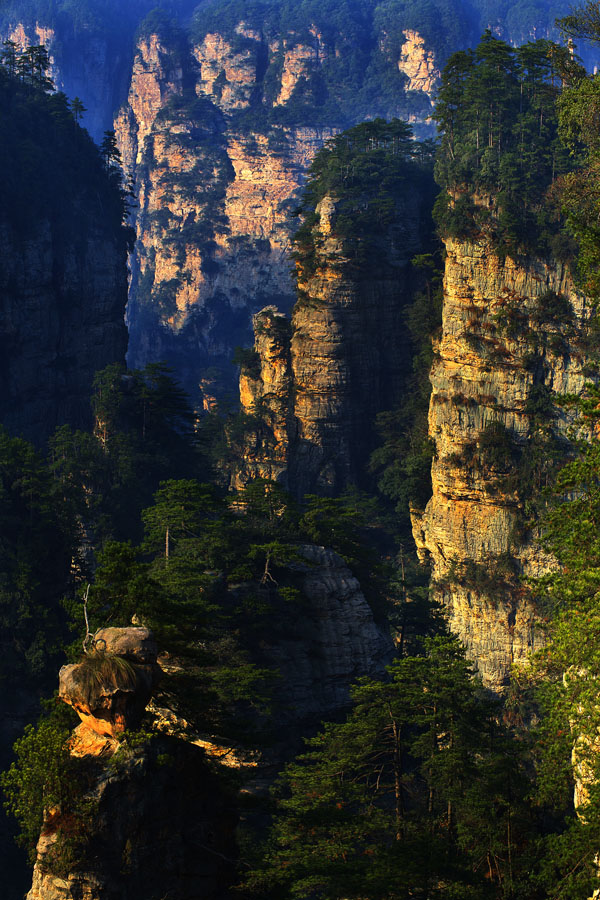 张家界大峰林