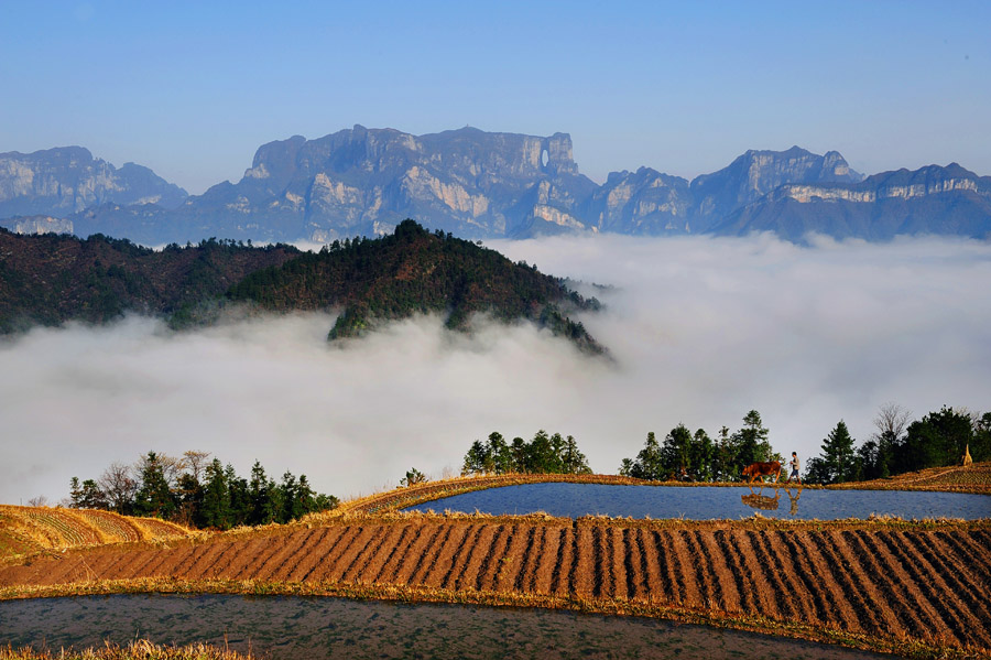 天门山后花园