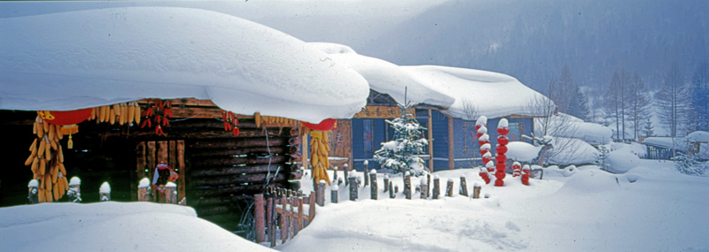 东北雪乡.反转片