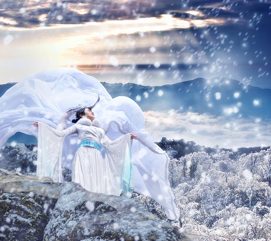 天门雪狐