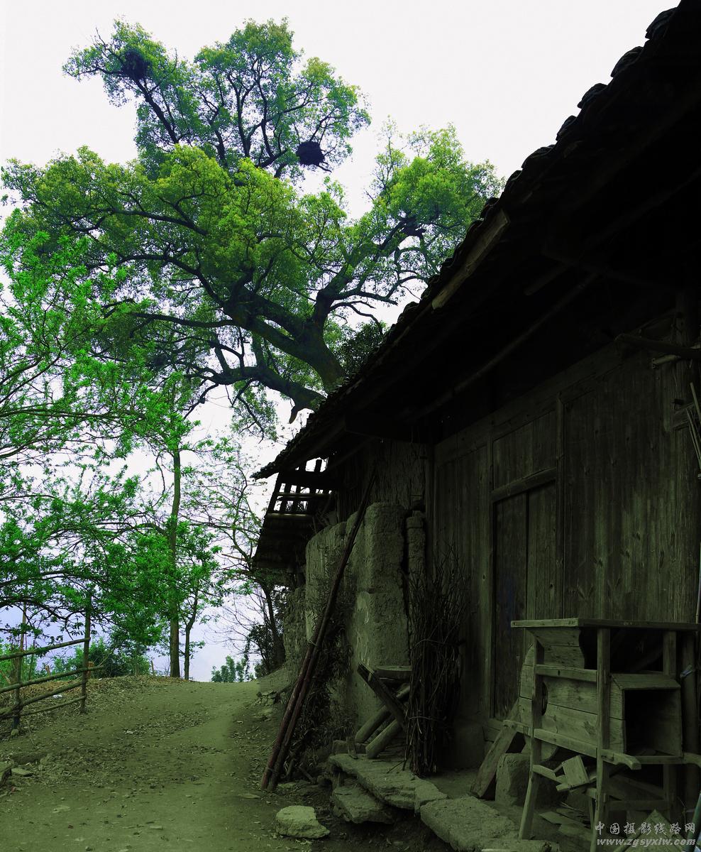 山村老屋