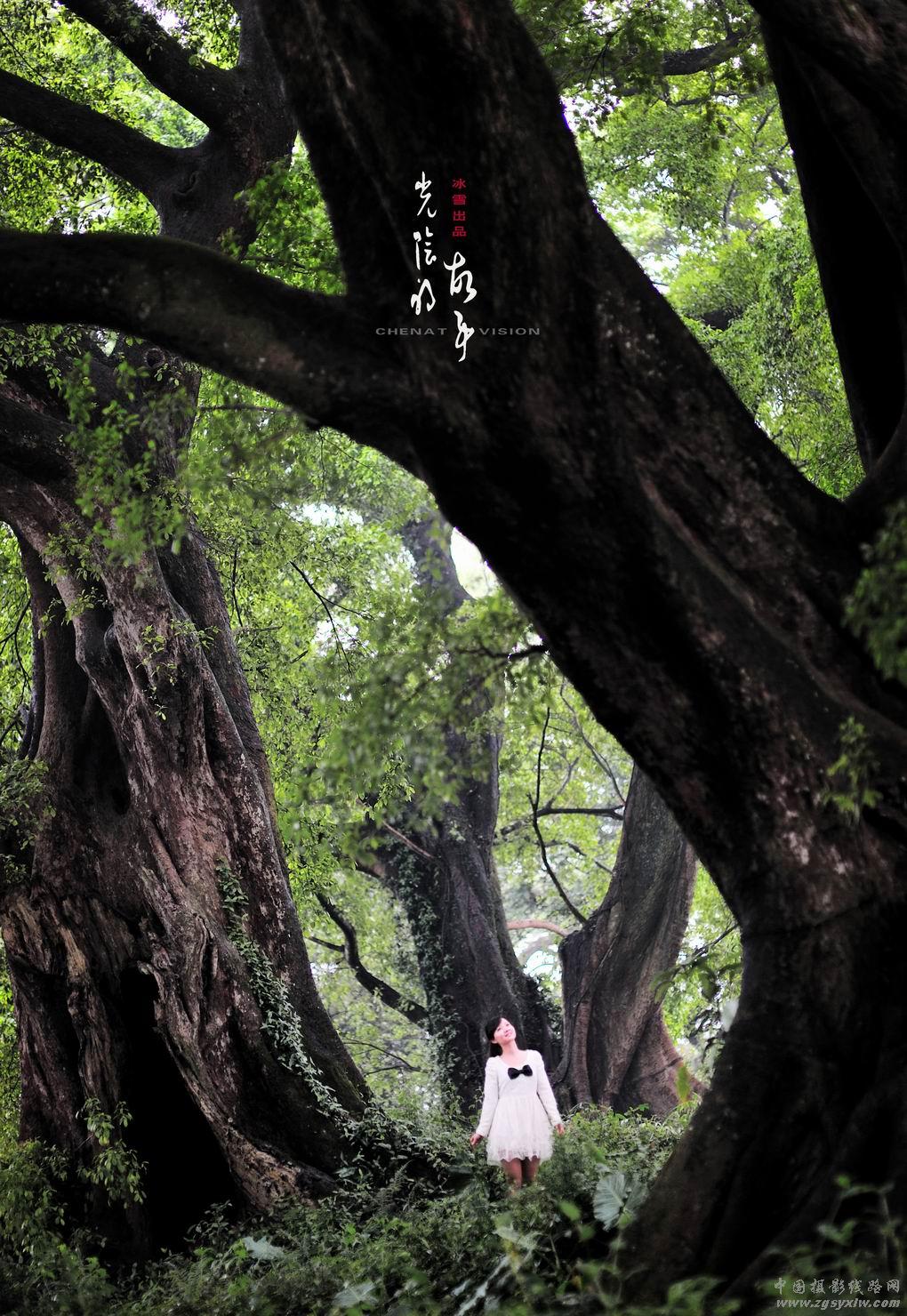 《光阴的故事》