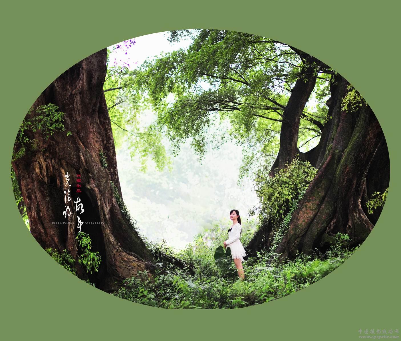 《光阴的故事》