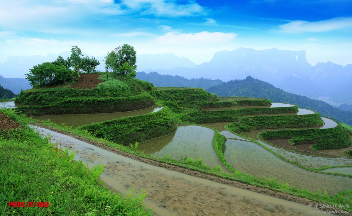 余家山梯田