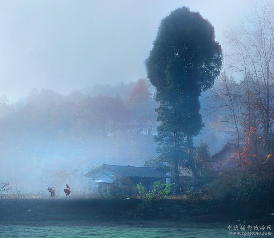 龙阳