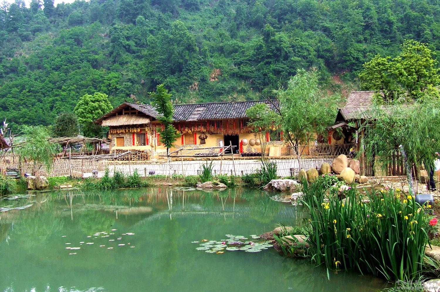 农家小院