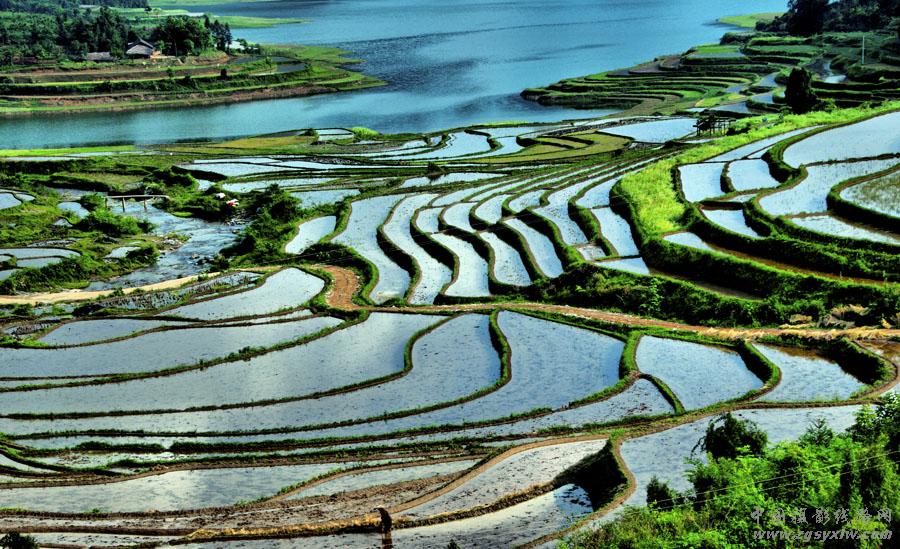 梯田小景