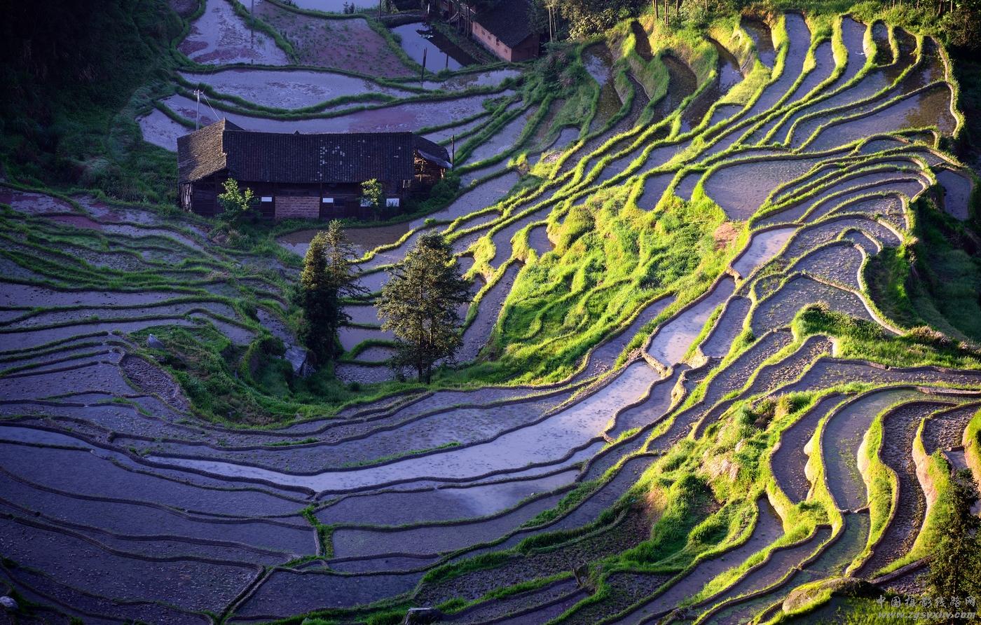 阴阳八卦