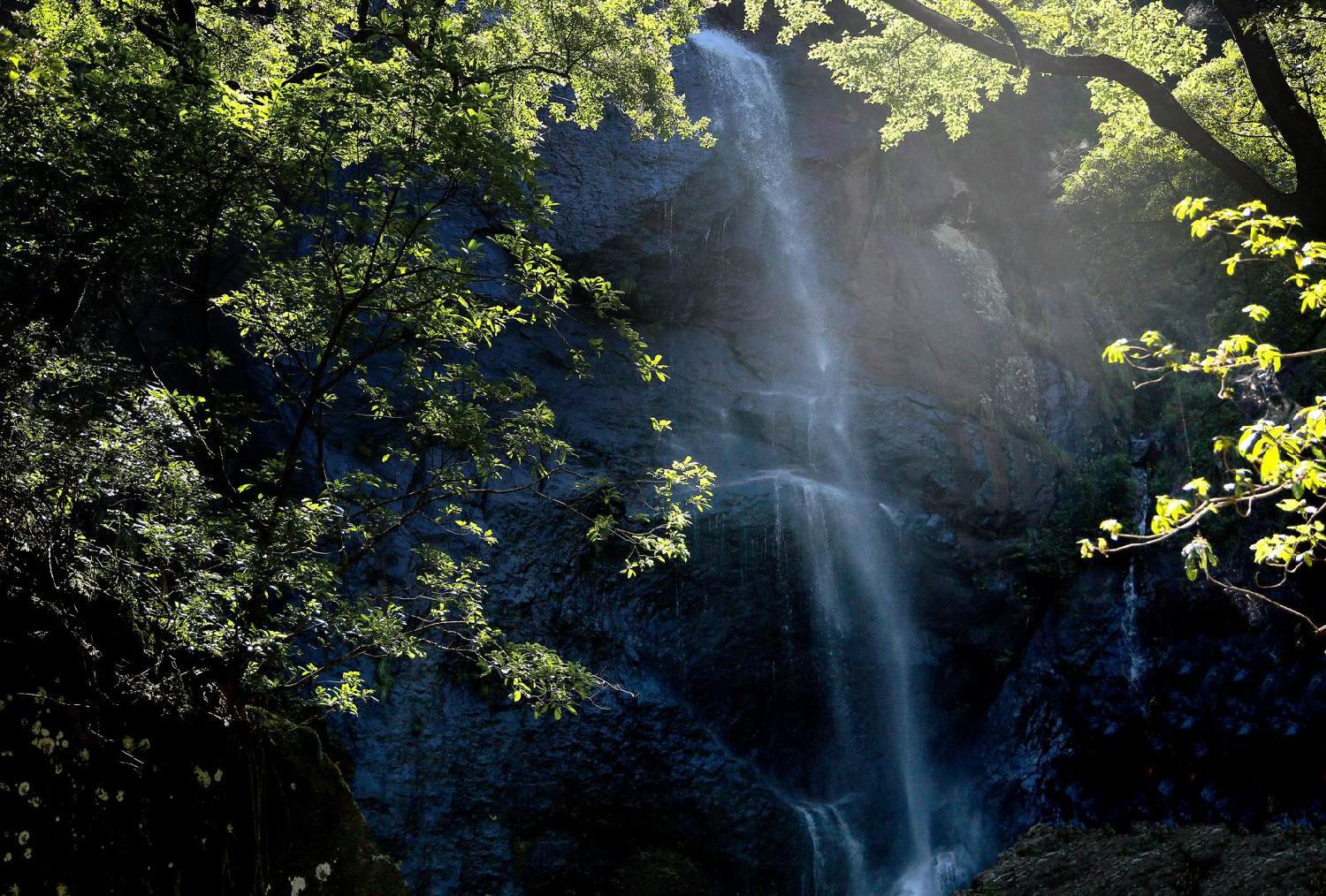 福建青云山