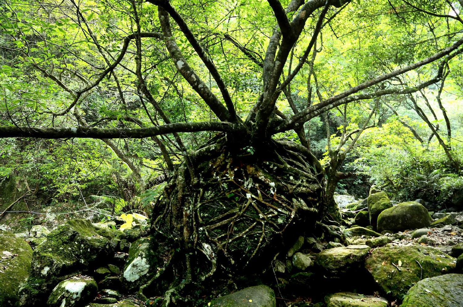 福建青云山