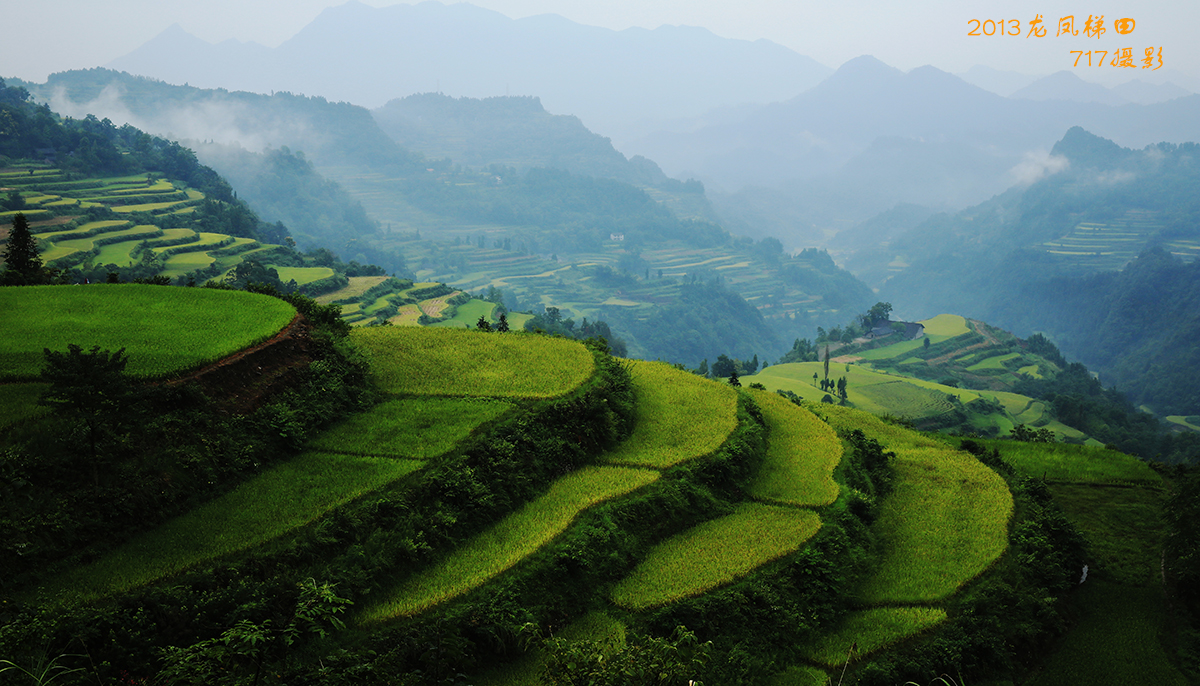 2013龙凤梯田