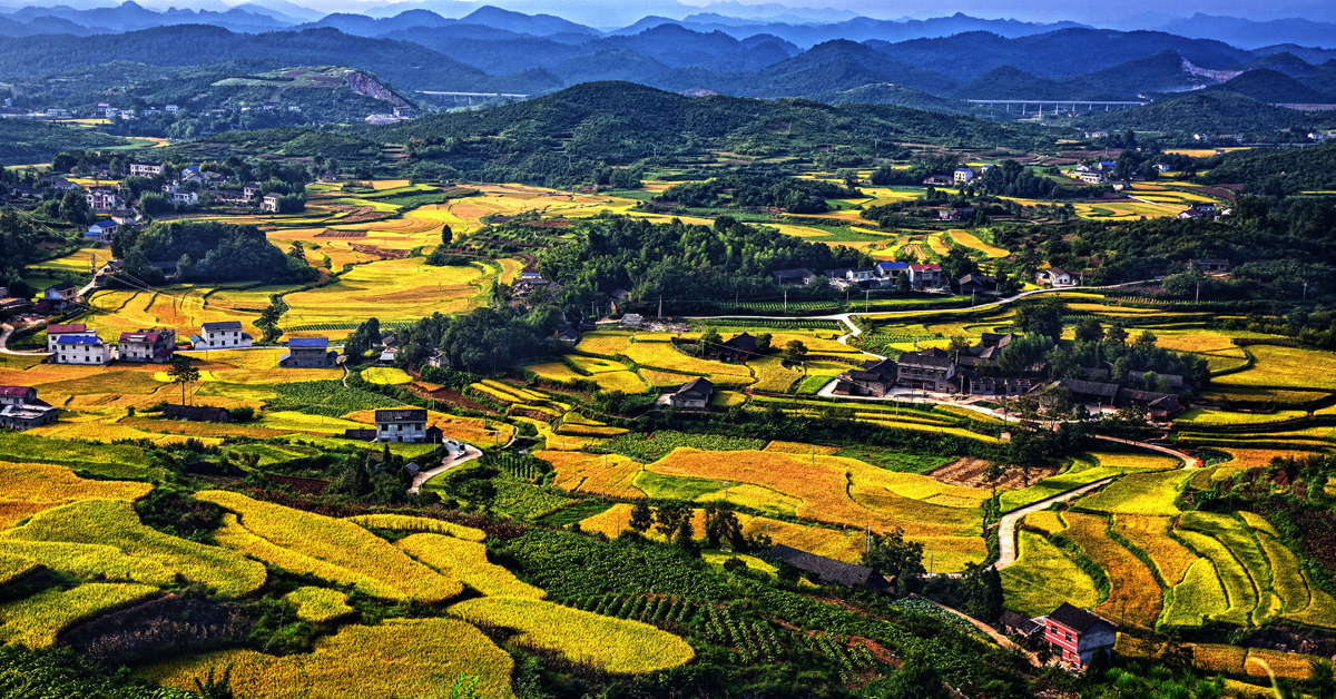 金色家园