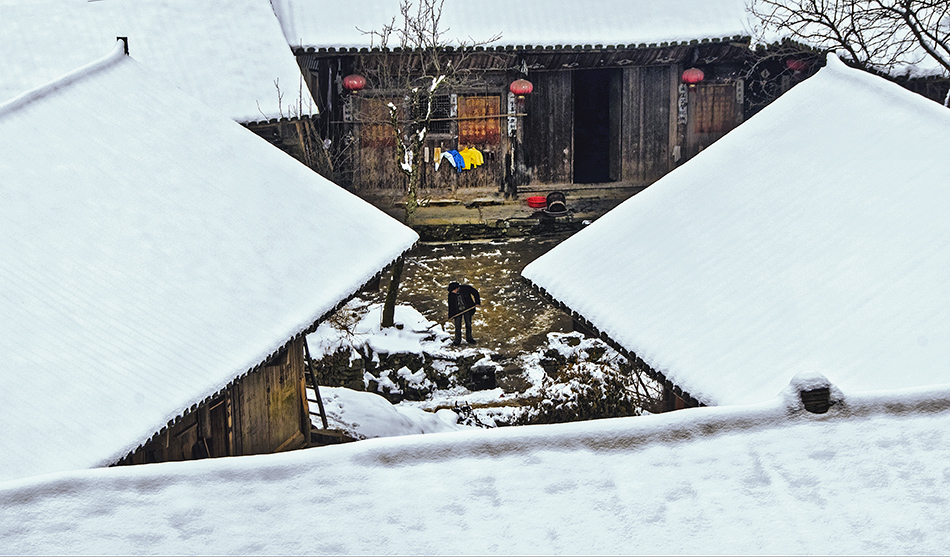 冬雪