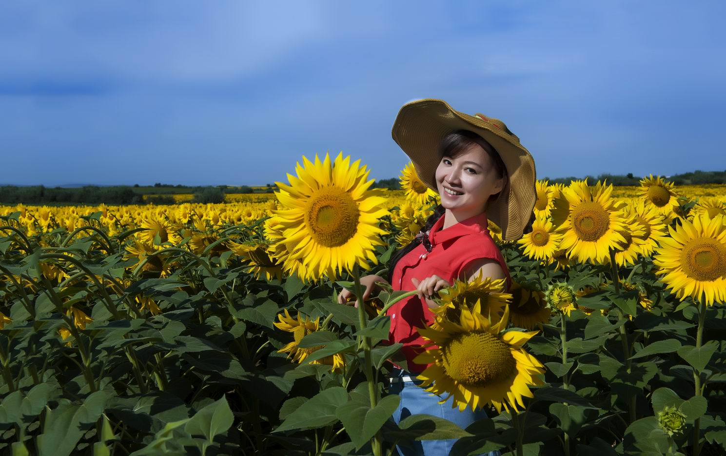 布尔津夏日葵人像片