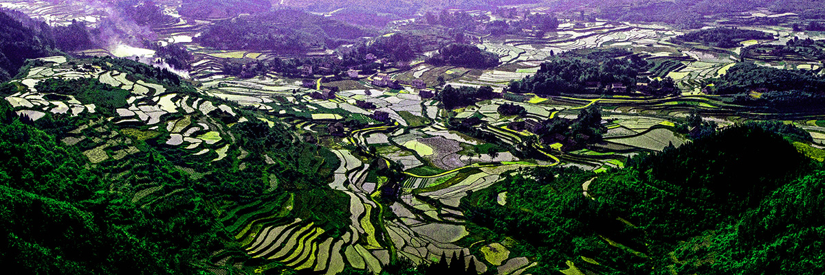 田园风光