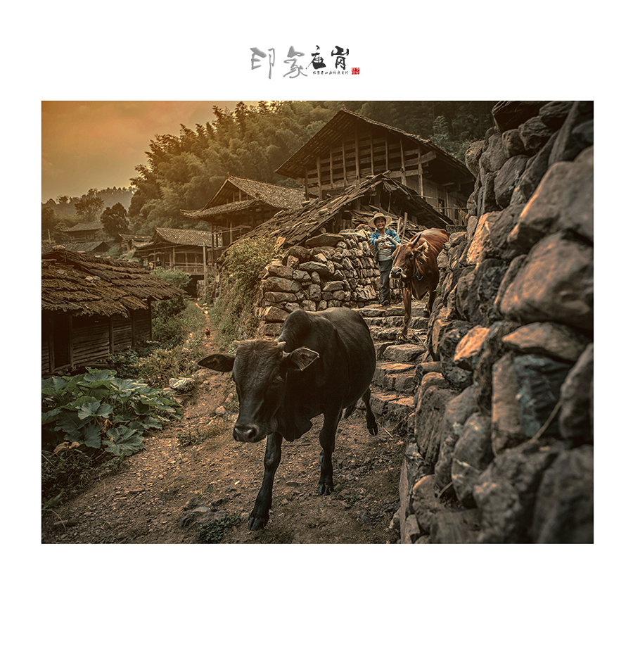庙岗印象