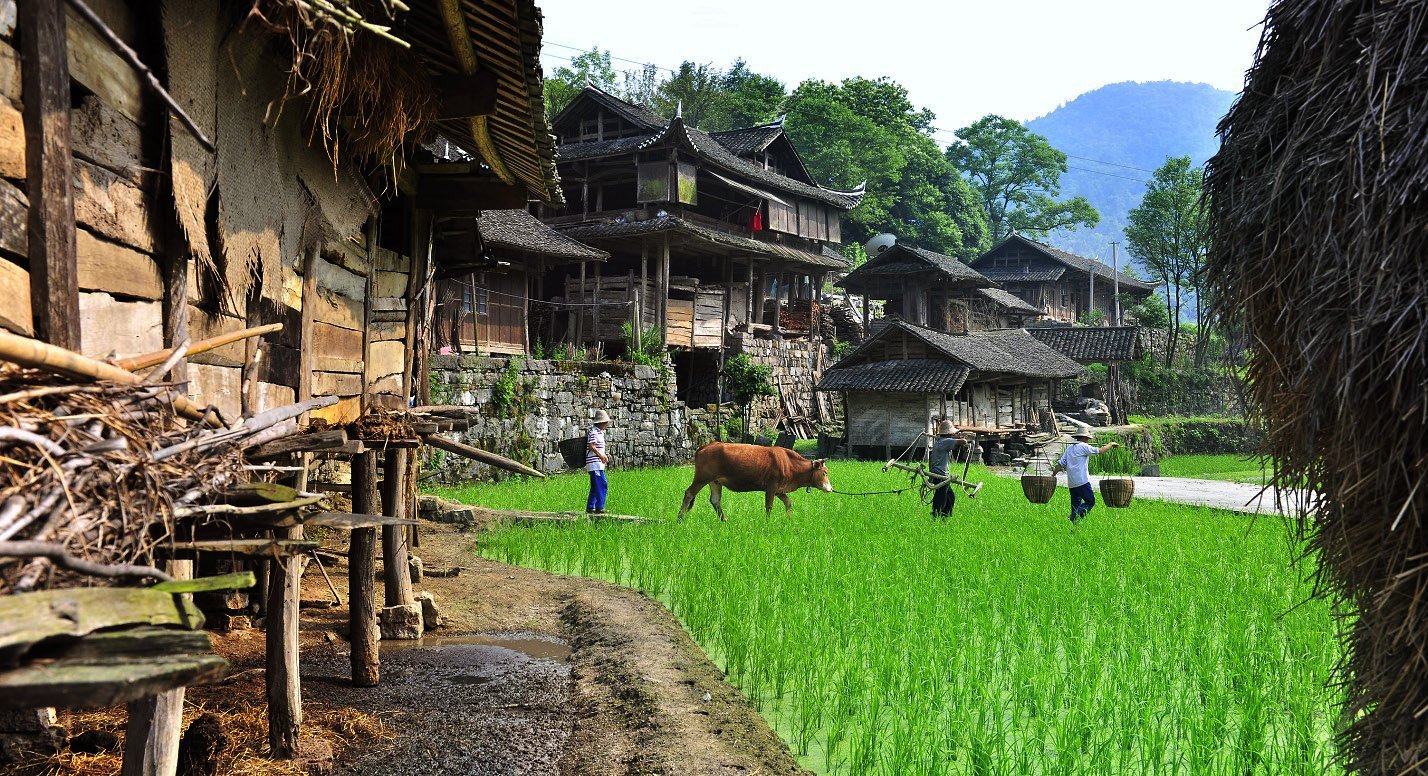 土家乡村
