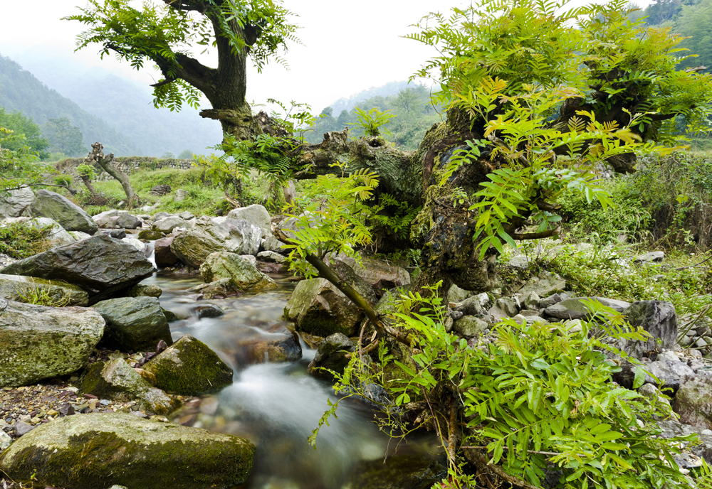 张家湾风光3