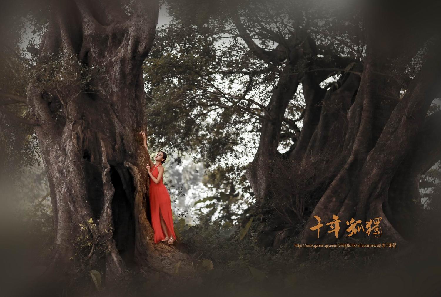 《千年孤独》组照