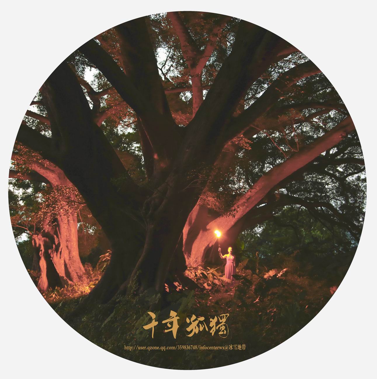 《千年孤独》组照