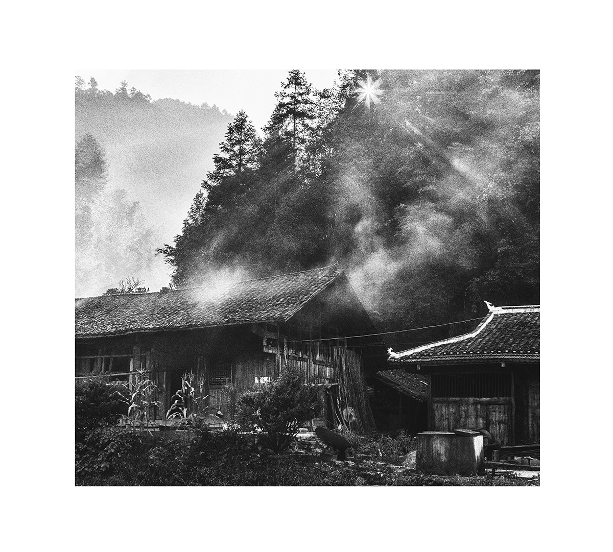 晨光