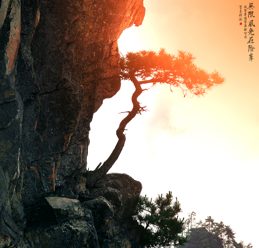 在险峰