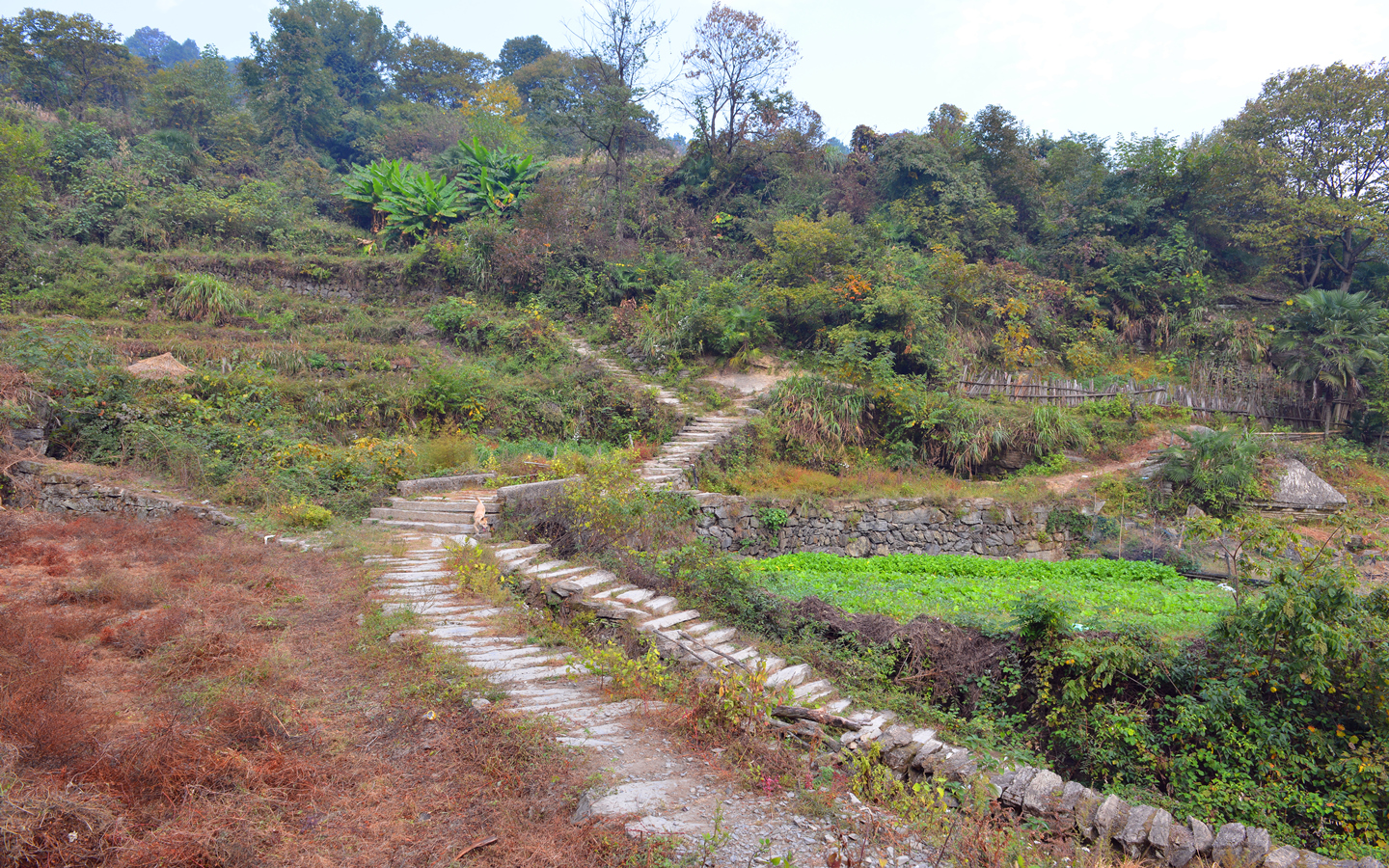 山路