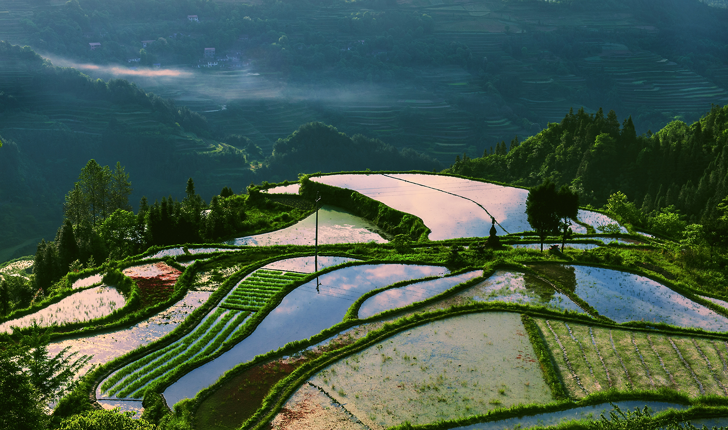 龙凤梯田片张