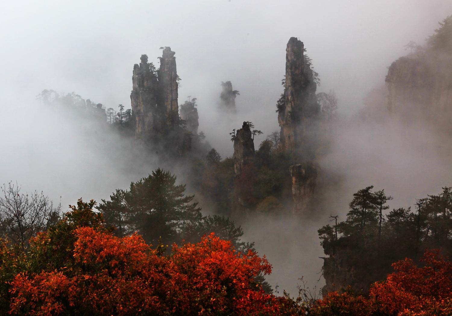 秋色正浓天子山