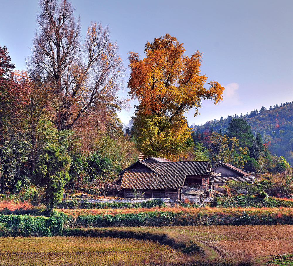土家乡村