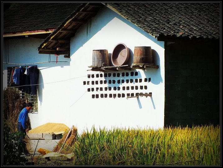 农家小景