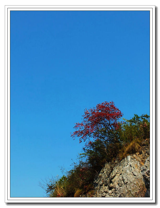 秋景5