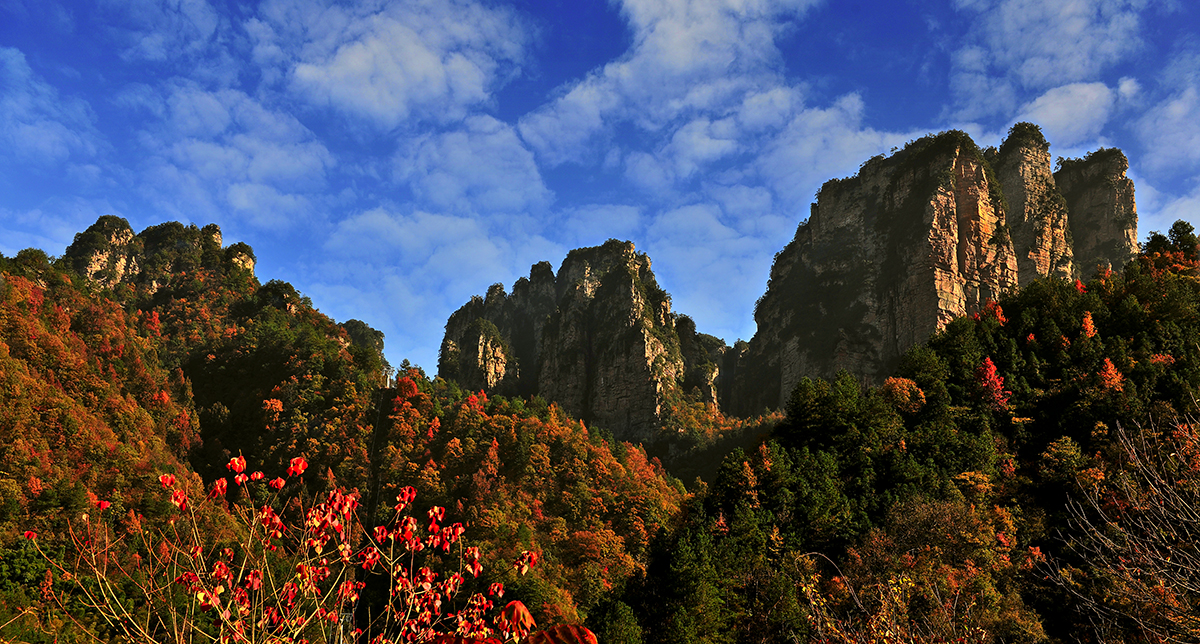 大山之秋