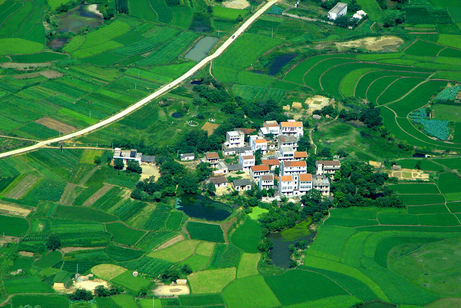 家园