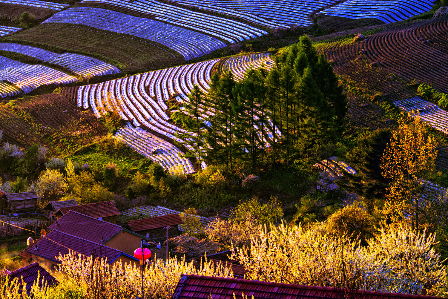 山村黄昏