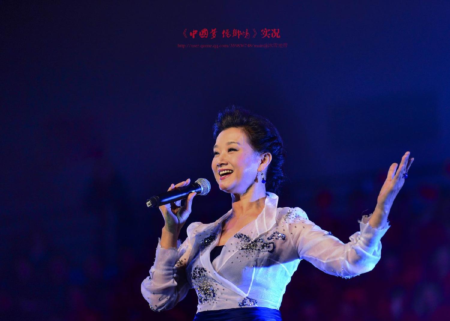 《中国梦 侨乡情》