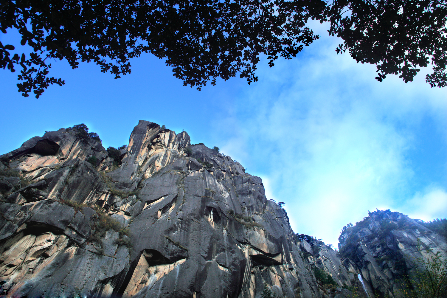 初露峰芒