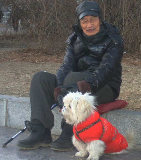 守候