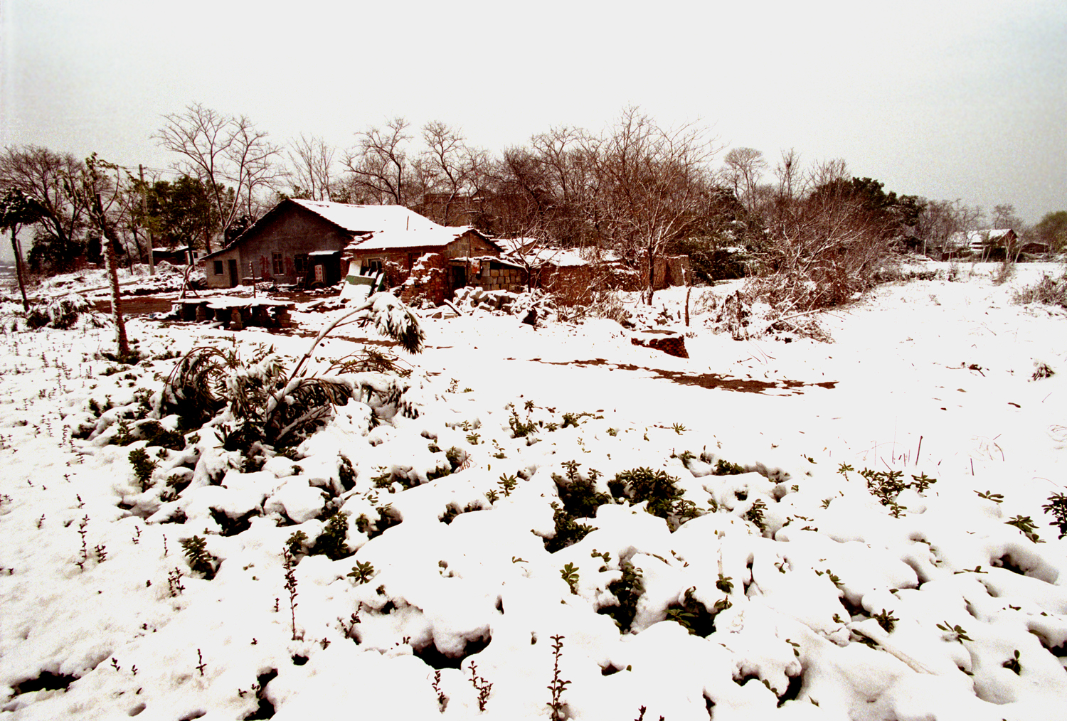 乡村雪景-2