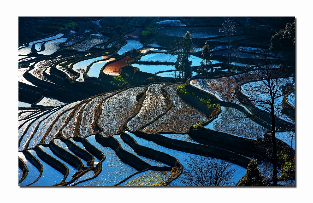 元阳风光4
