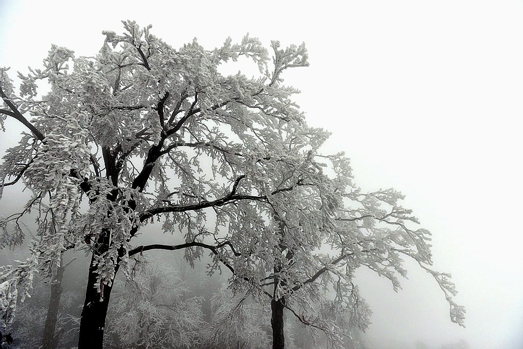 天门雪景16